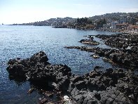 pomulini-20110311 237